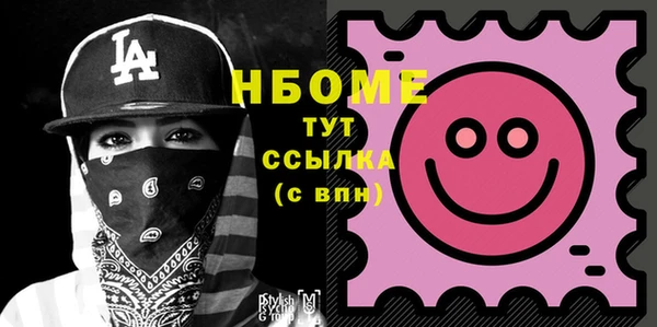 шишки Богородицк