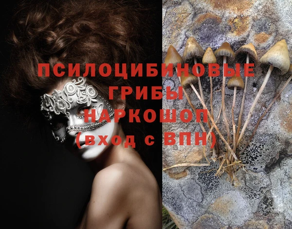 герыч Богородск