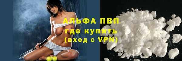 шишки Богородицк