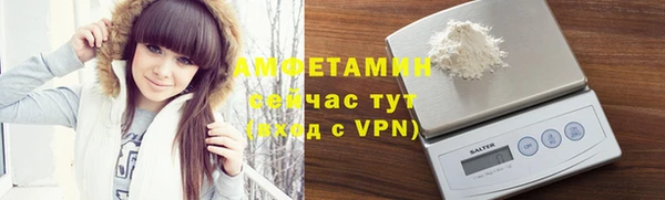 шишки Богородицк