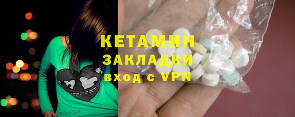 шишки Богородицк