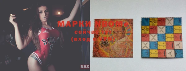 шишки Богородицк