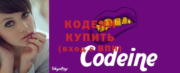 шишки Богородицк