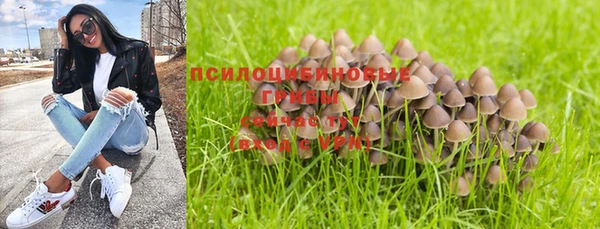 герыч Богородск