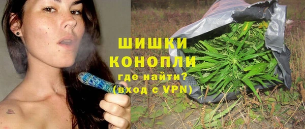 сатива Богданович