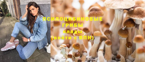 сатива Богданович