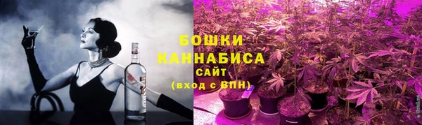 сатива Богданович