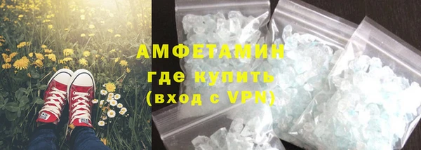 шишки Богородицк