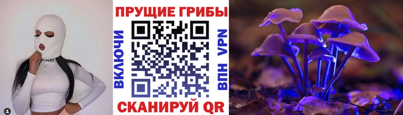 Купить  Рославль  Галлюциногенные грибы MAGIC MUSHROOMS 