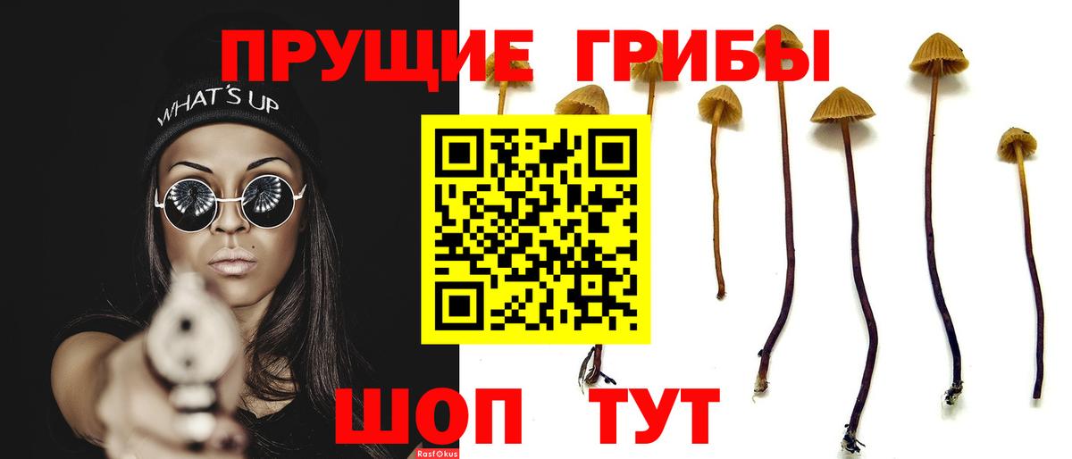 Галлюциногенные грибы Psilocybe  Вход с VPN  Рославль 